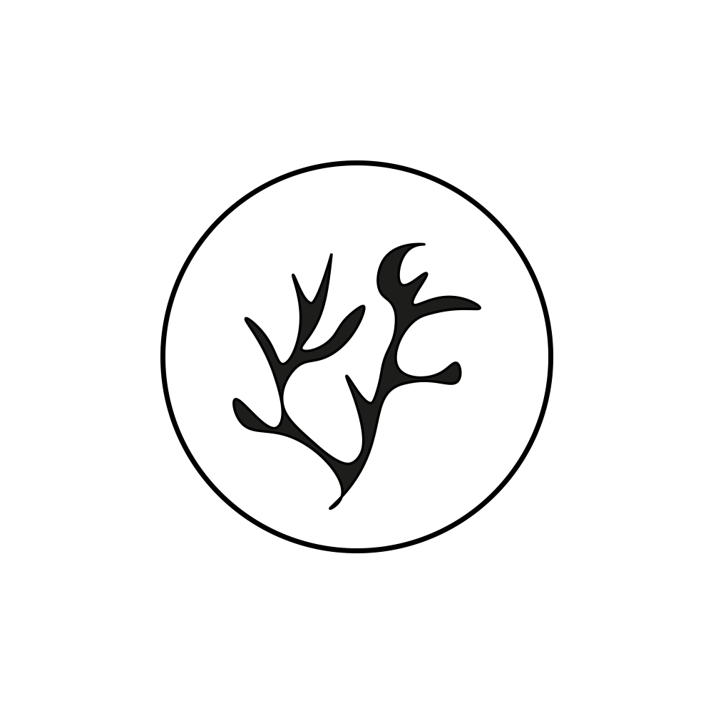 Seaweed Extract